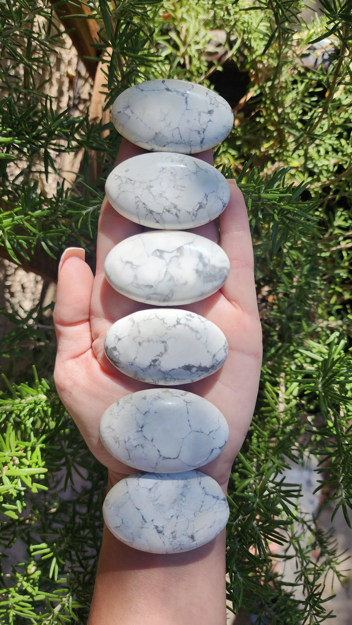 Howlite Palmstone