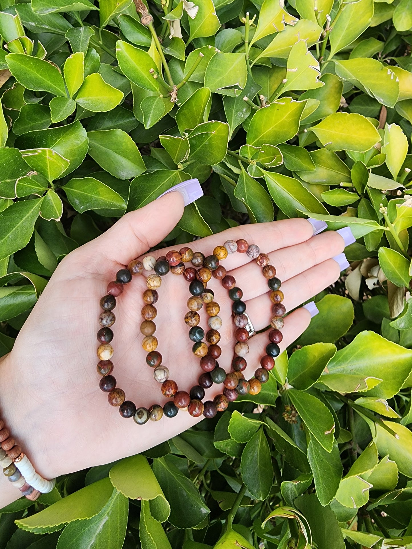 Polychrome Jasper Bracelet